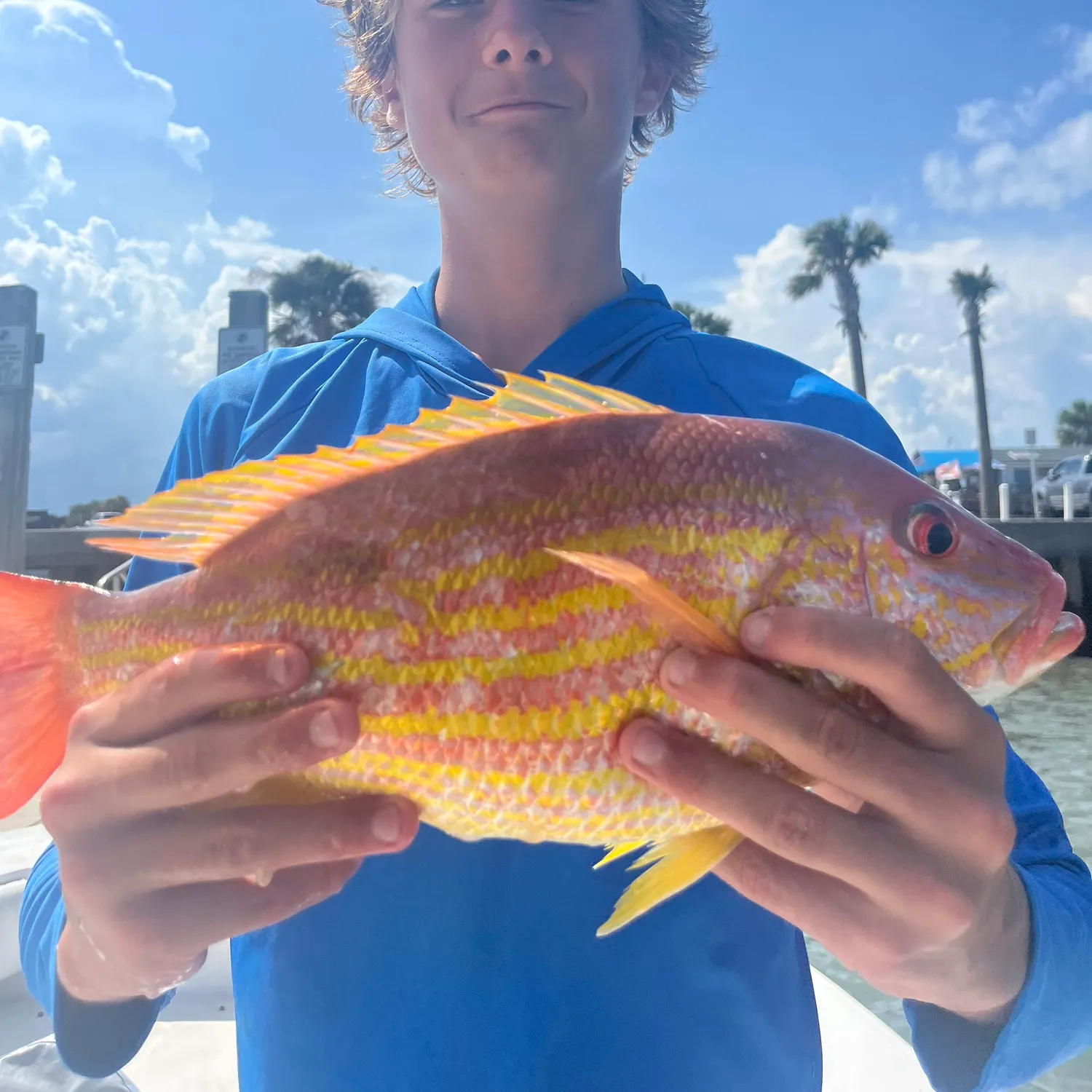 The most recent Lane snapper catches on Fishbrain