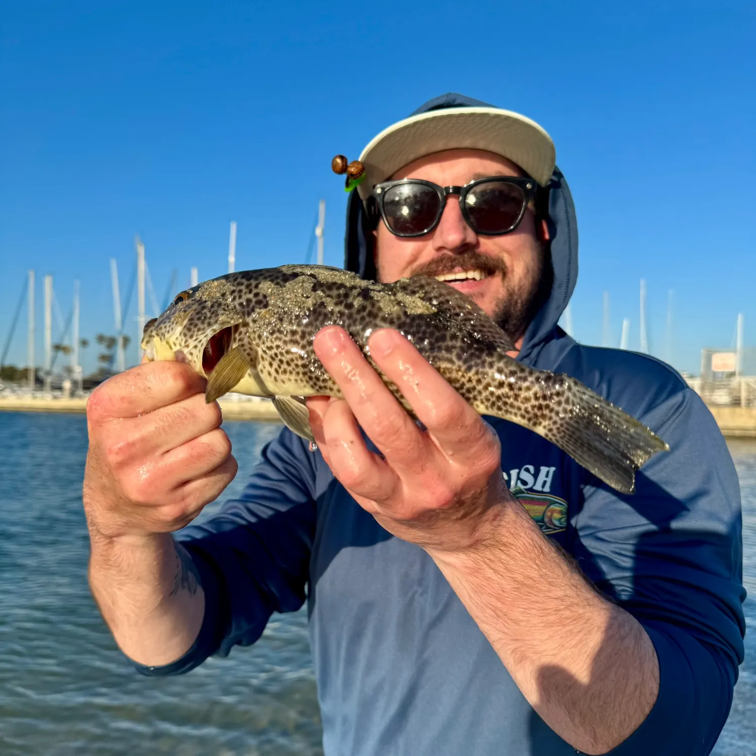 The most recent Spotted sand bass catches on Fishbrain