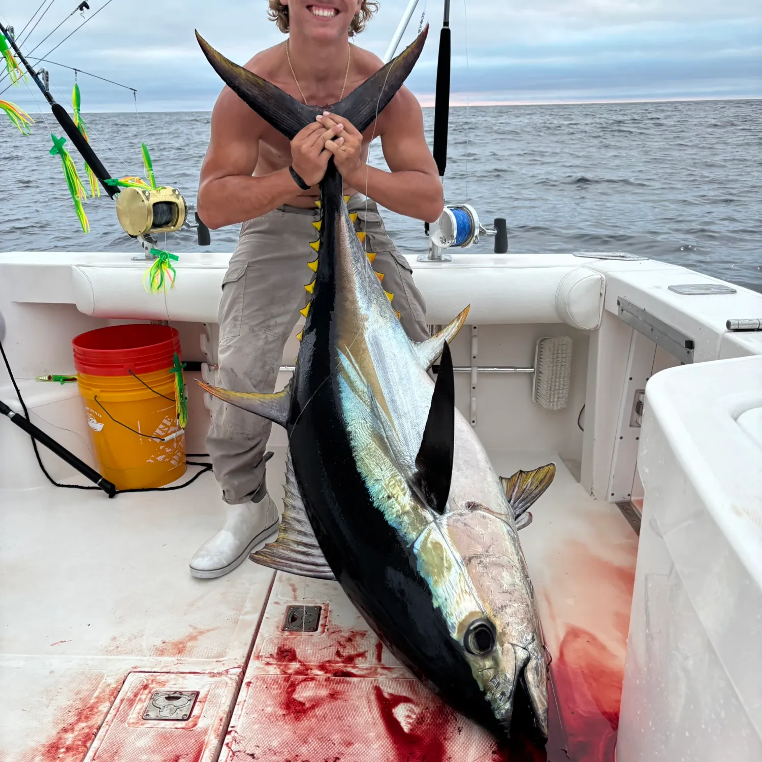 The most recent Bigeye tuna catches on Fishbrain