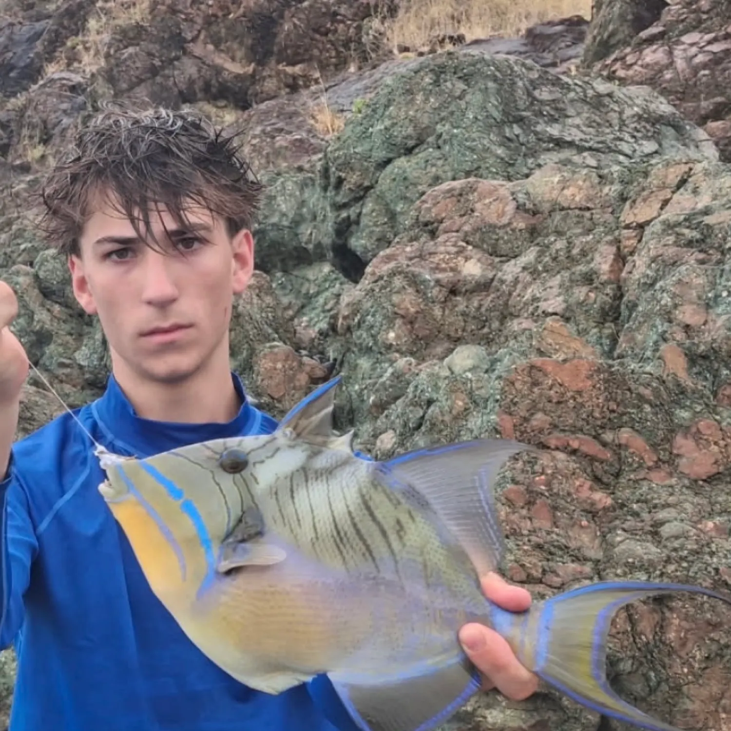 The most recent Queen triggerfish catches on Fishbrain