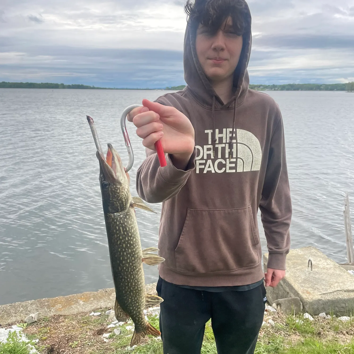 Northern pike caught on Fishbrain