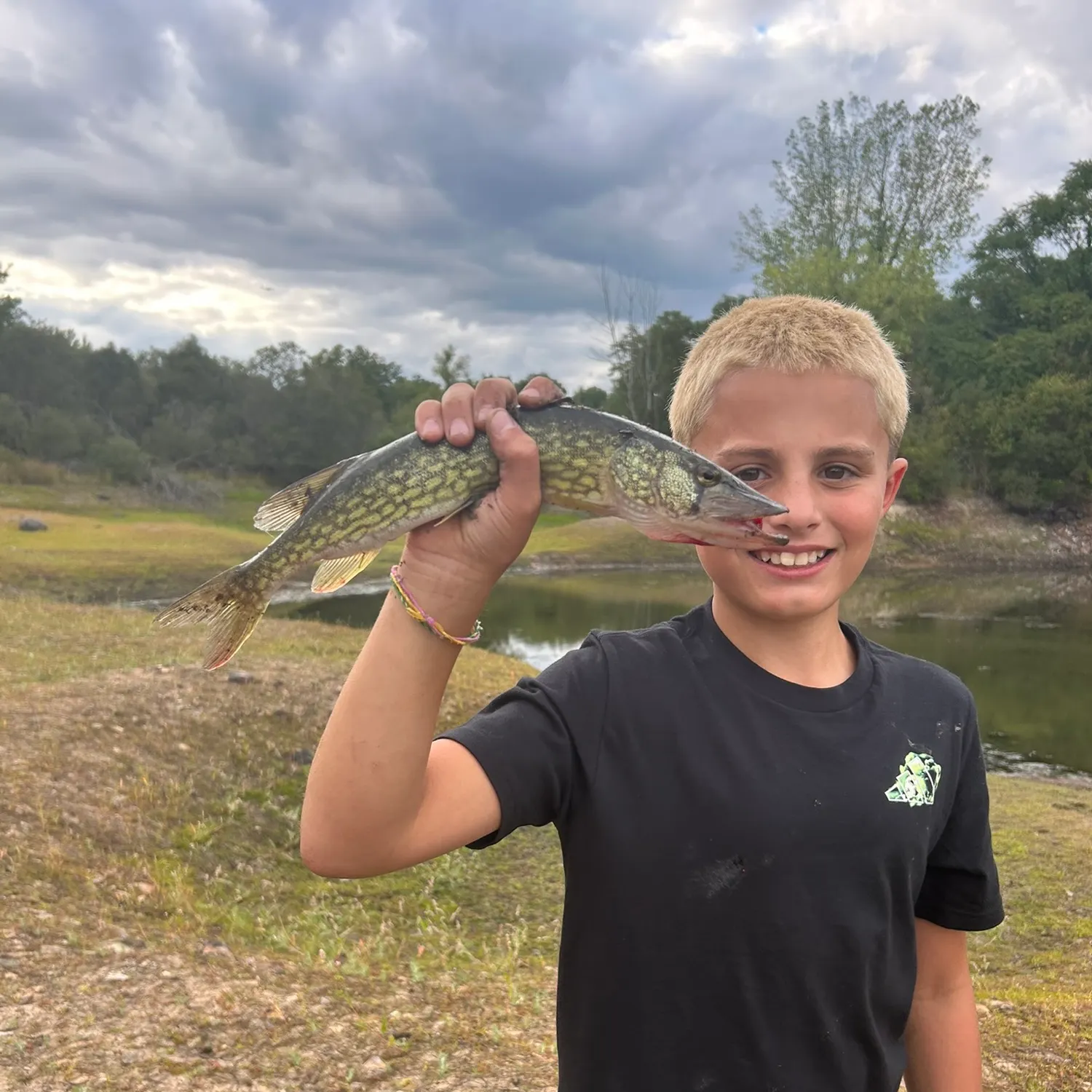 Chain pickerel caught on Fishbrain