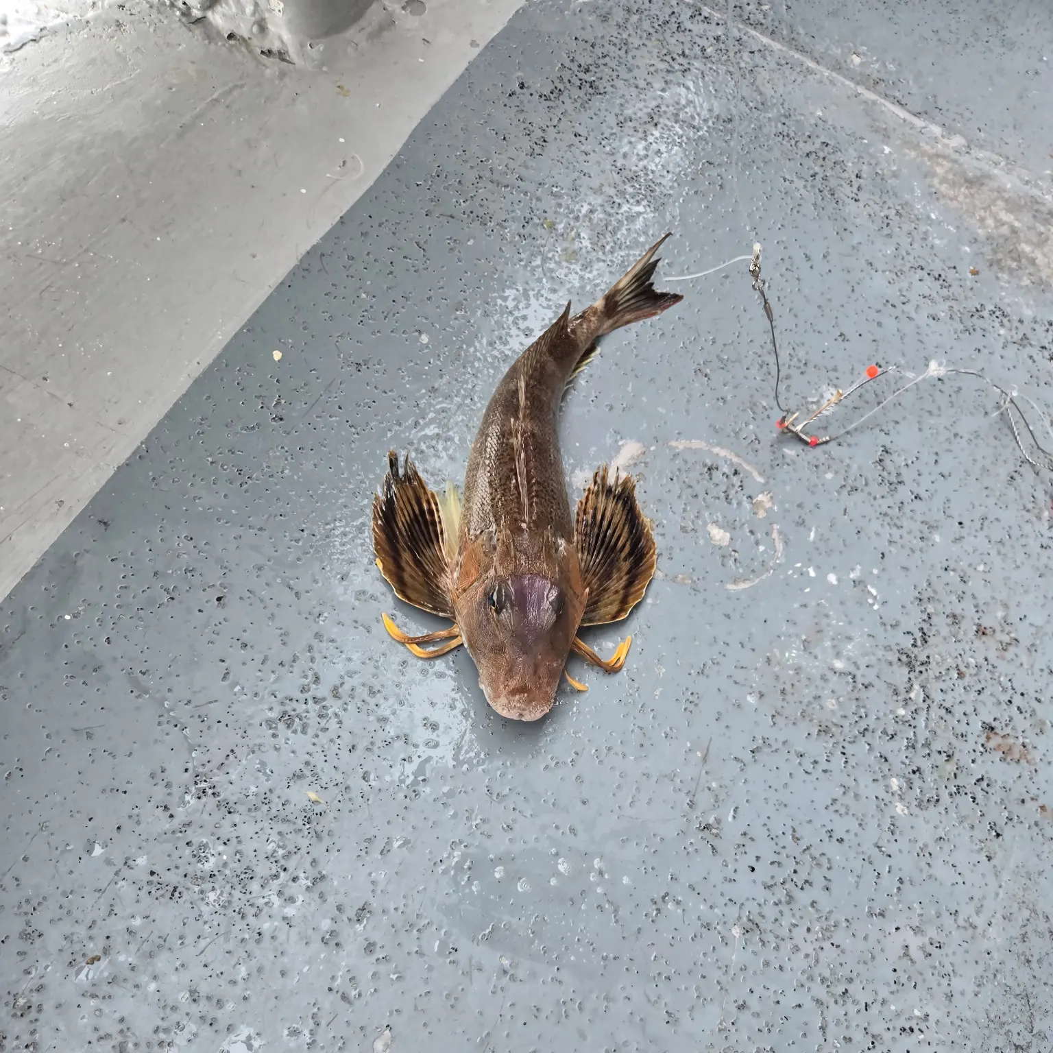 catch