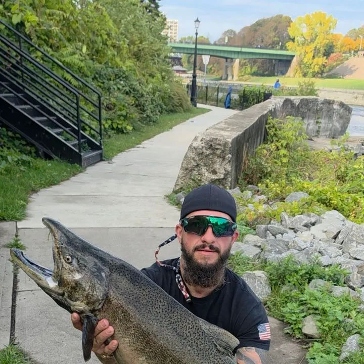 Chinook salmon caught on Fishbrain