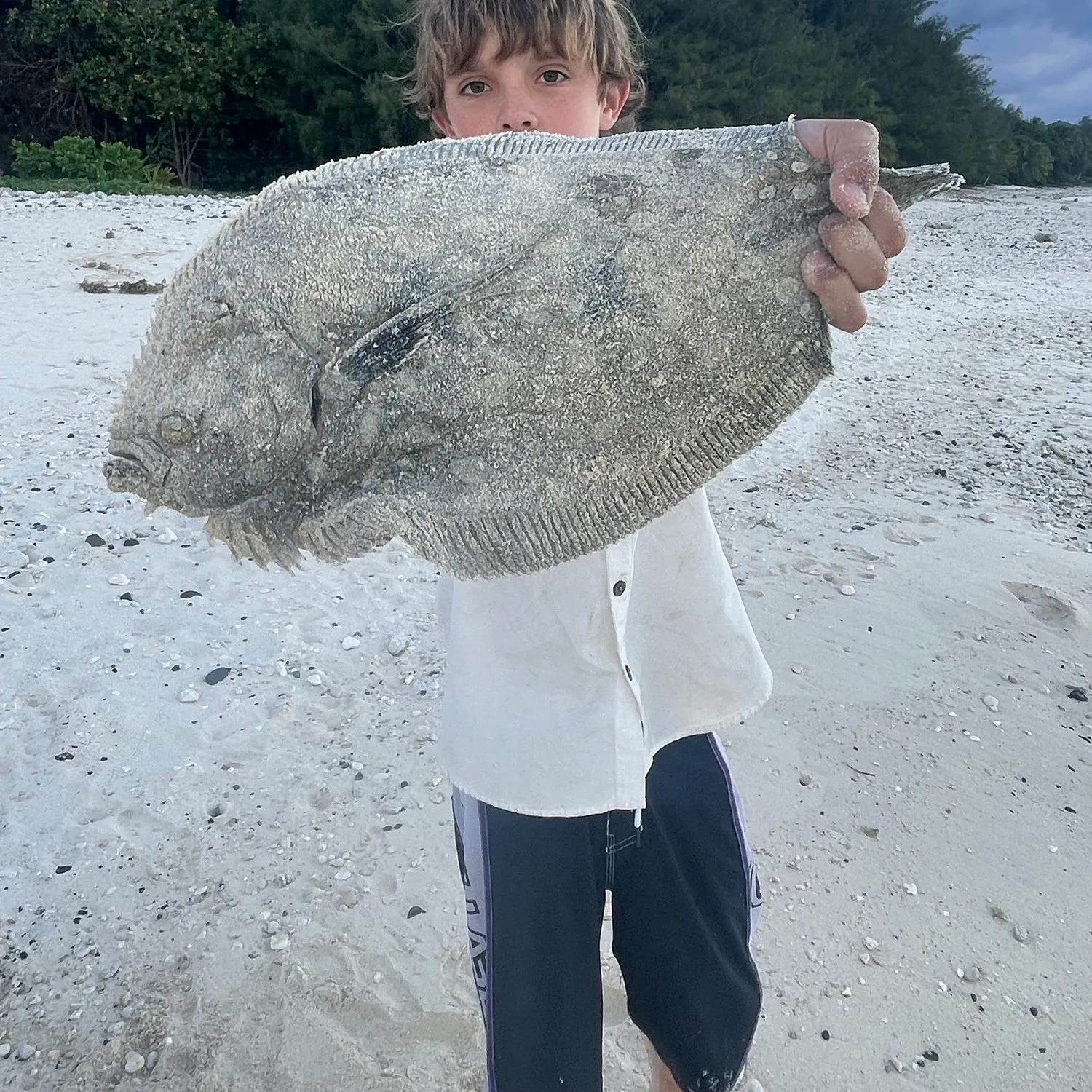 The most recent Pacific halibut catches on Fishbrain