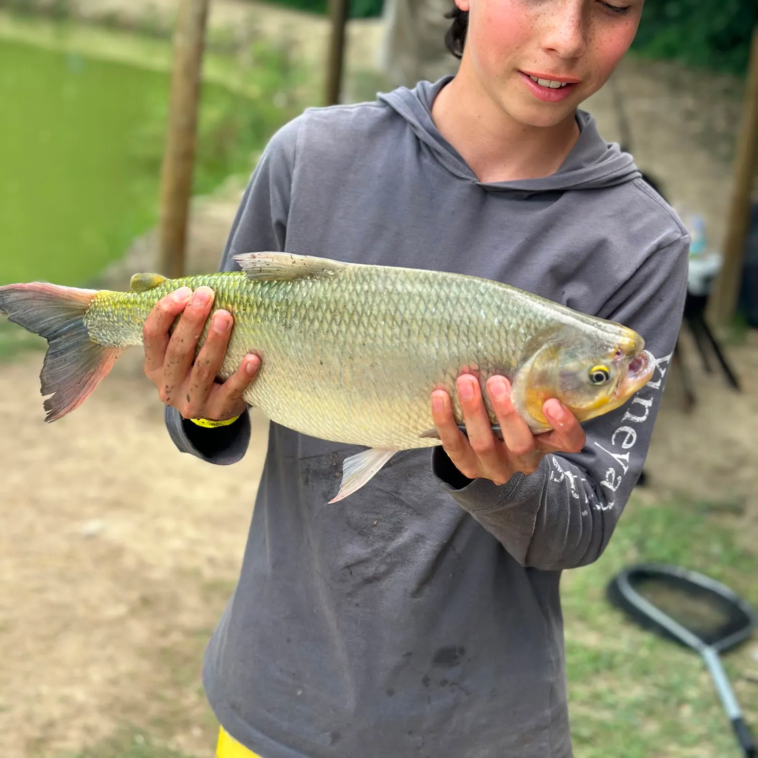 The most recent Dorada catches on Fishbrain