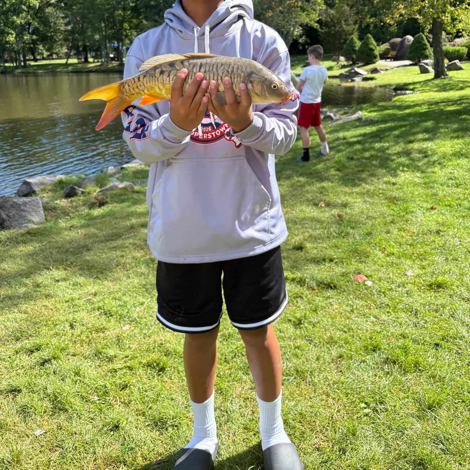 Mirror carp caught on Fishbrain