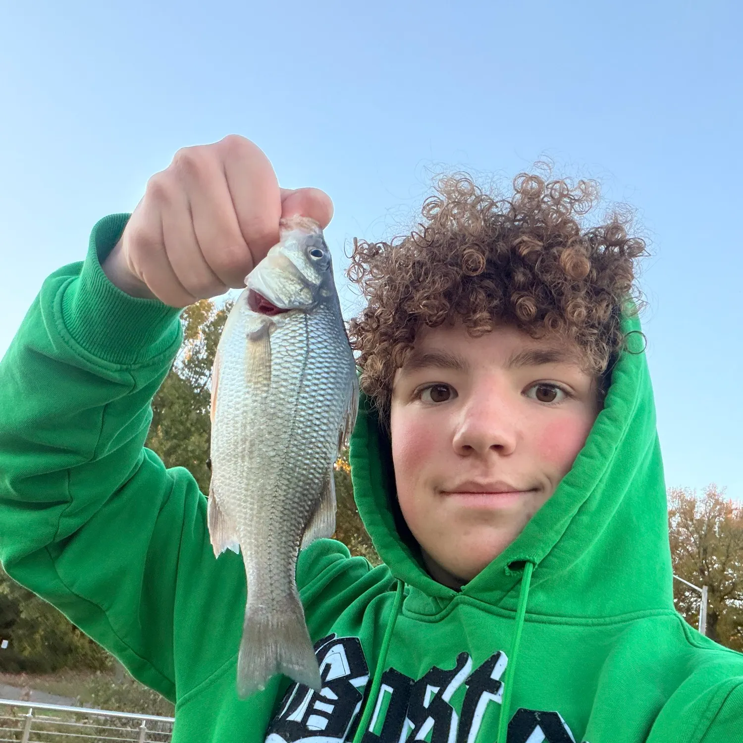 The most recent White perch catches on Fishbrain