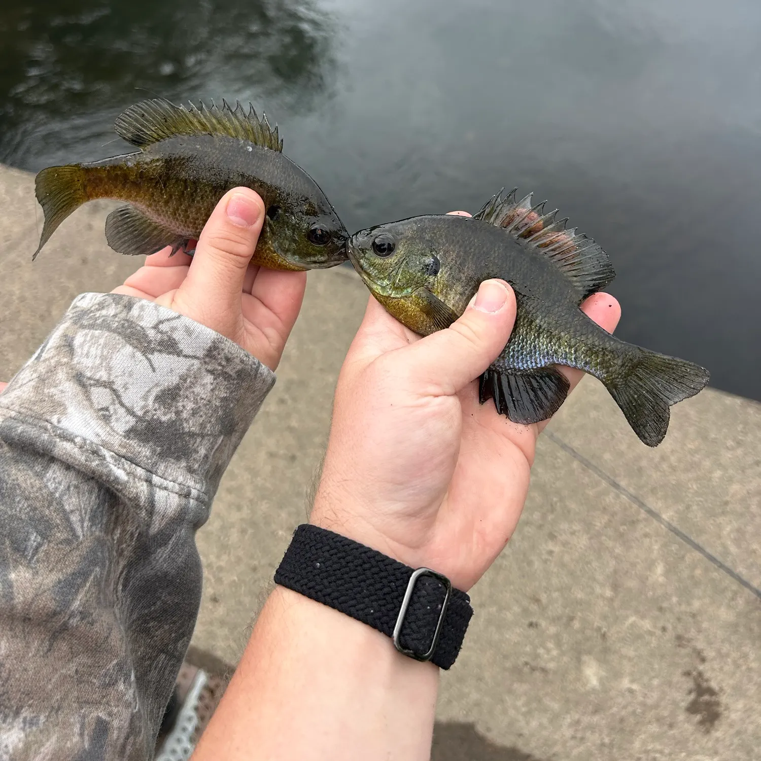catch