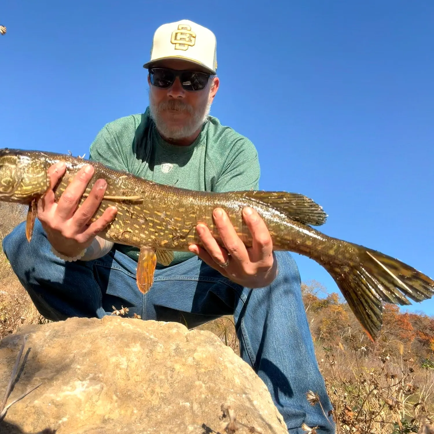 Northern pike caught on Fishbrain