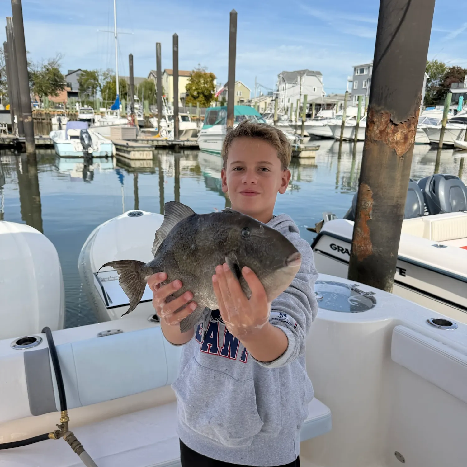 The most recent Grey triggerfish catches on Fishbrain