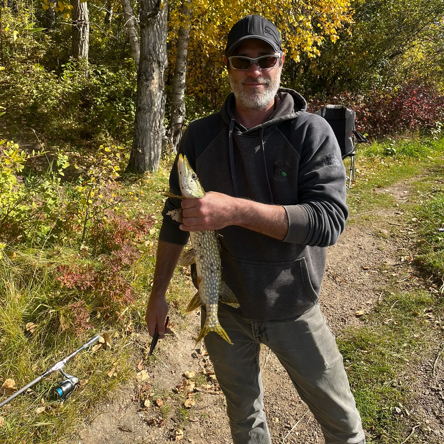 Northern pike caught on Fishbrain