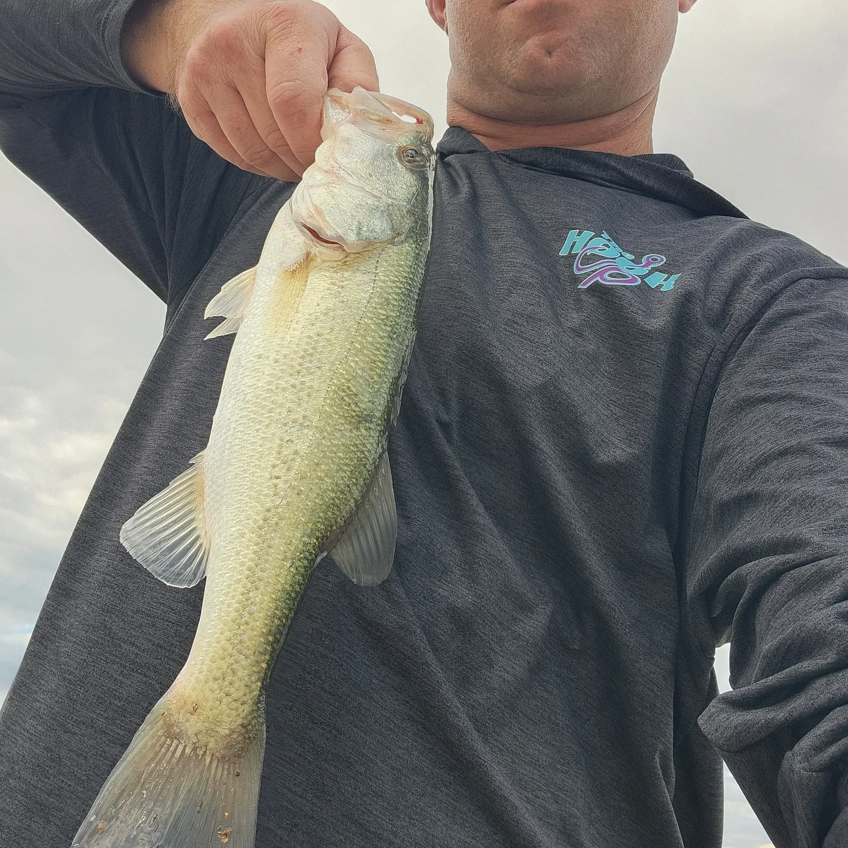 Largemouth bass caught on Fishbrain