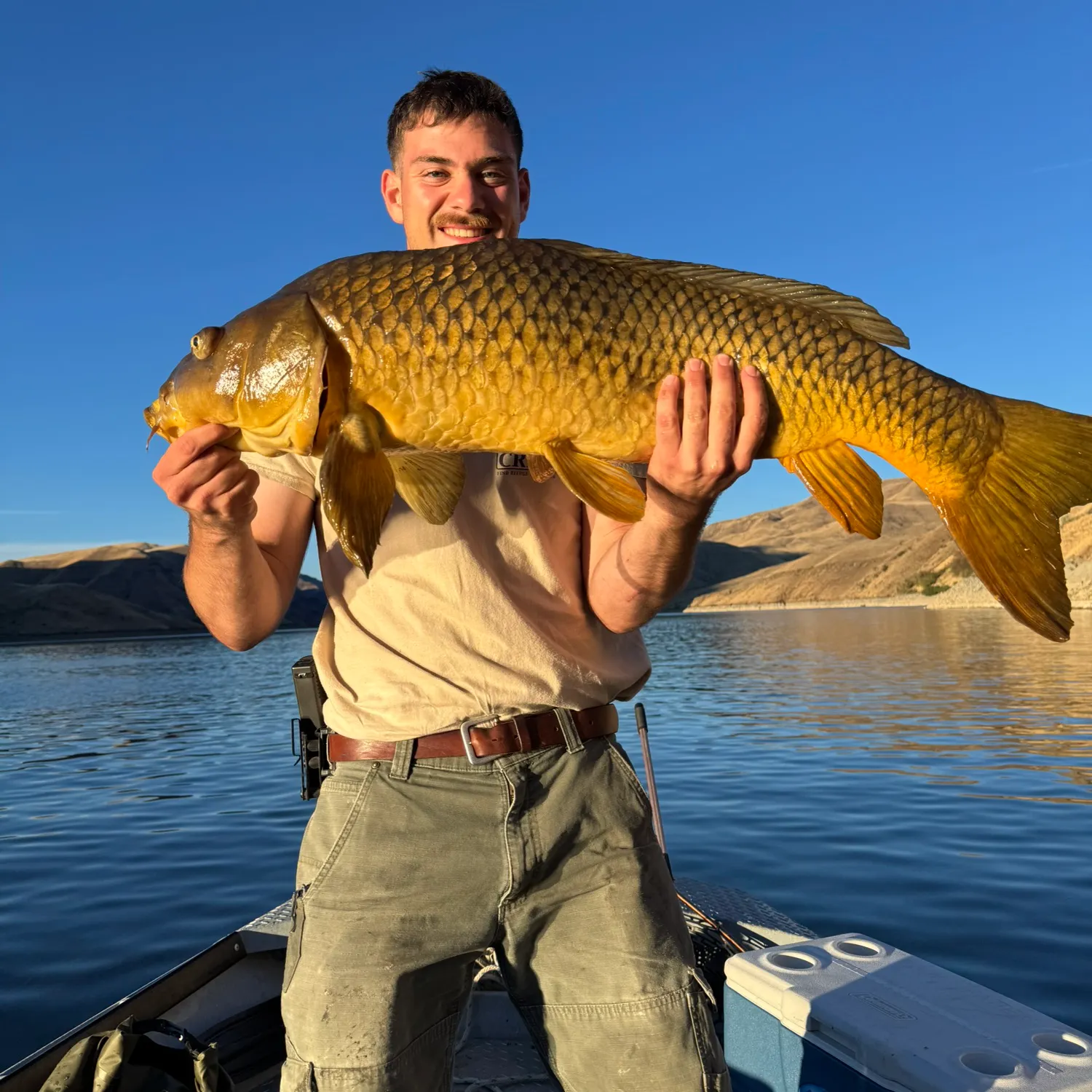 Common carp caught on Fishbrain
