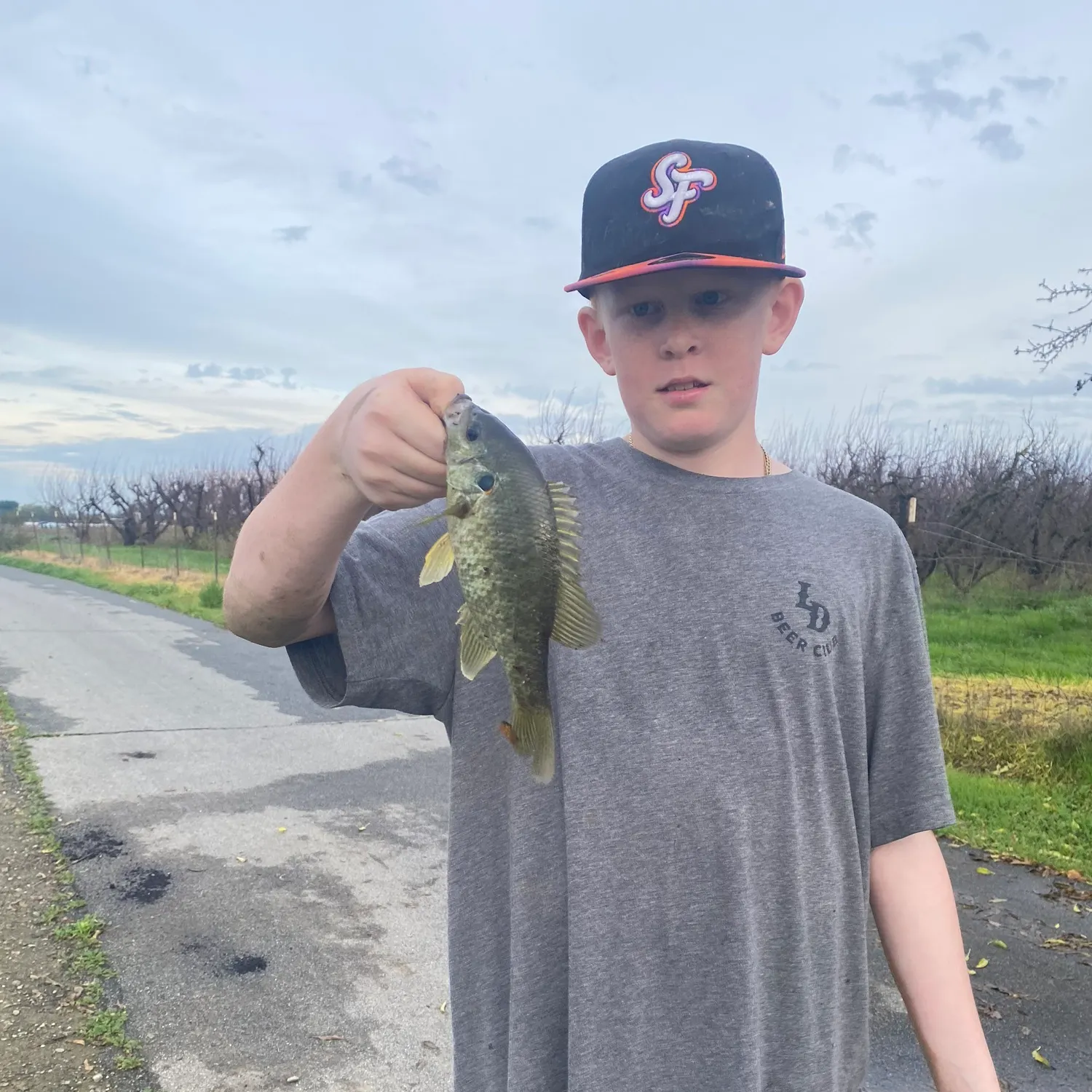 The most recent Redear sunfish catches on Fishbrain