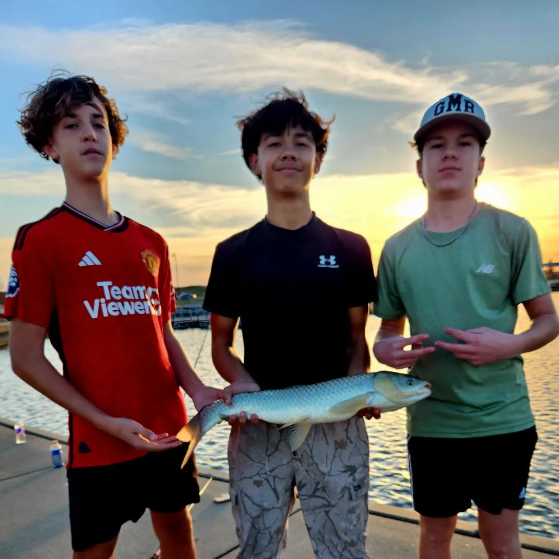 The most recent Grass carp catches on Fishbrain