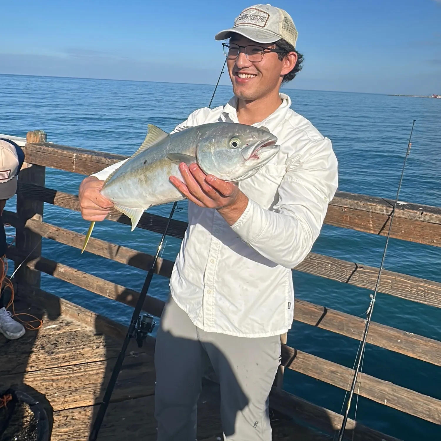 California yellowtail amberjack caught on Fishbrain