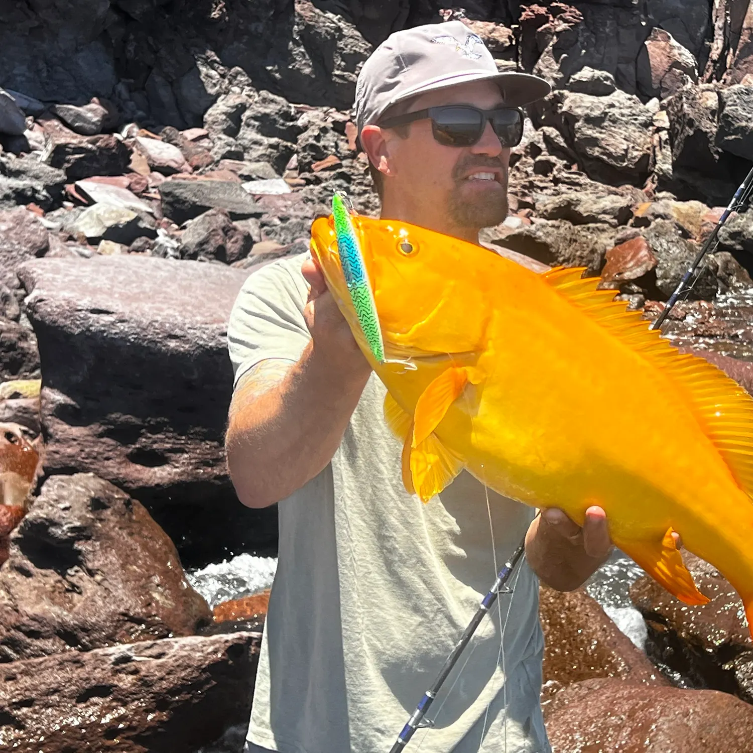 The most recent Spotted grouper catches on Fishbrain