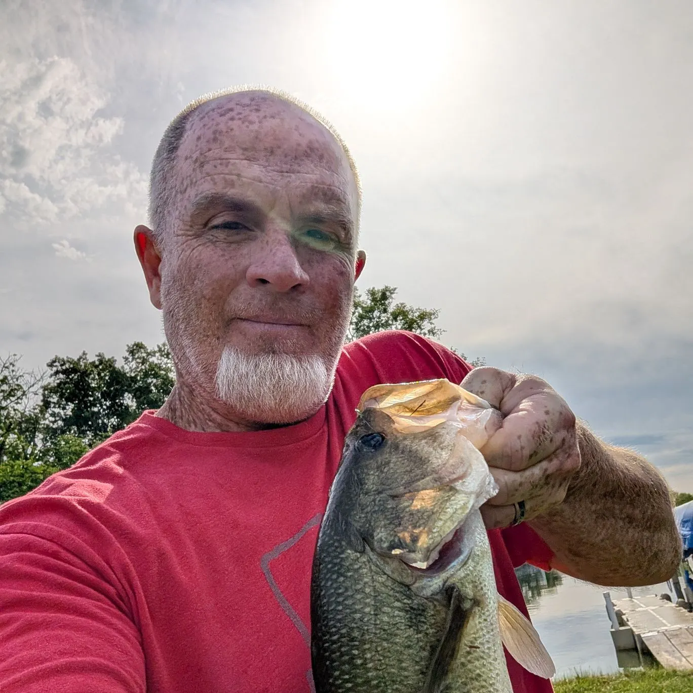 Largemouth bass caught on Fishbrain