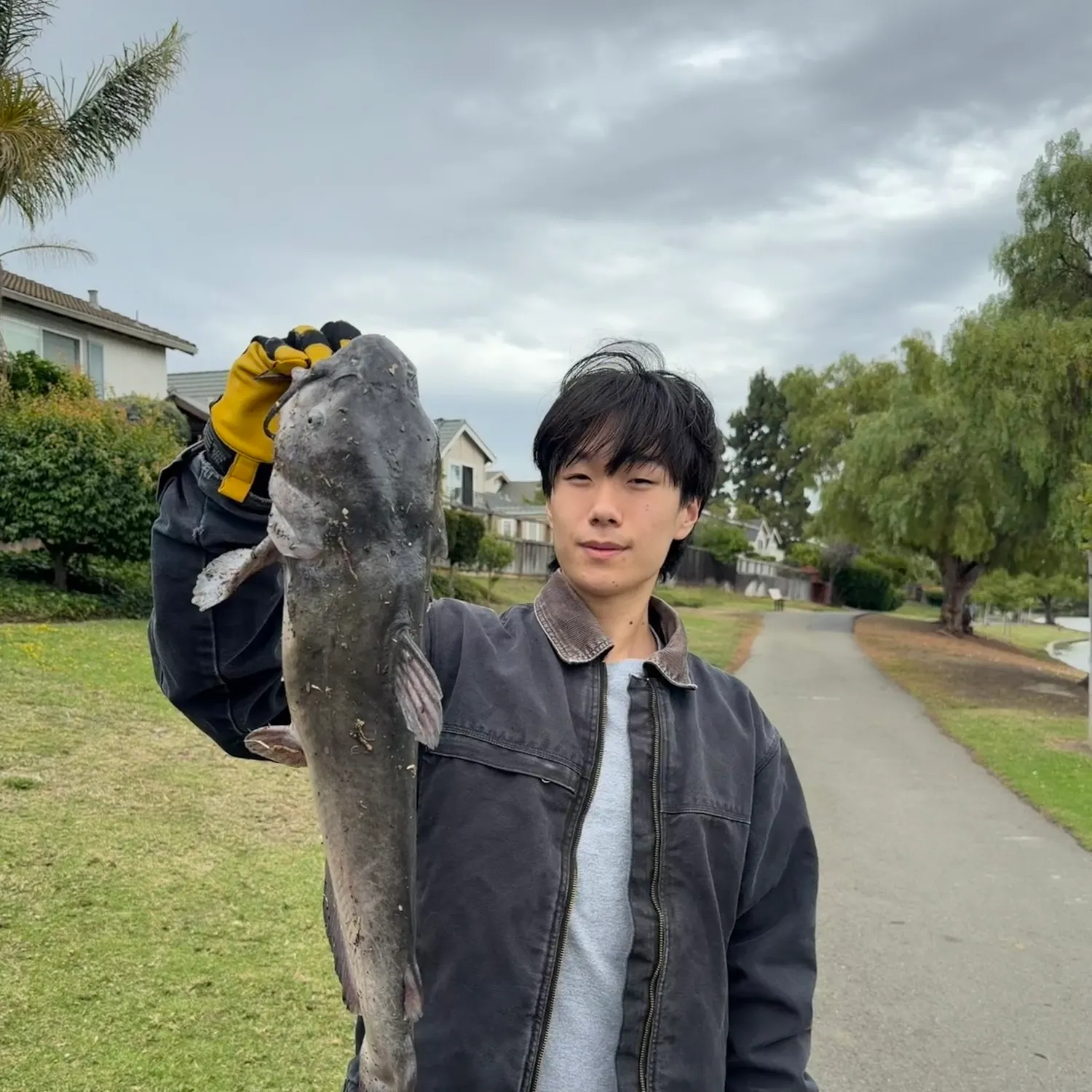 catch