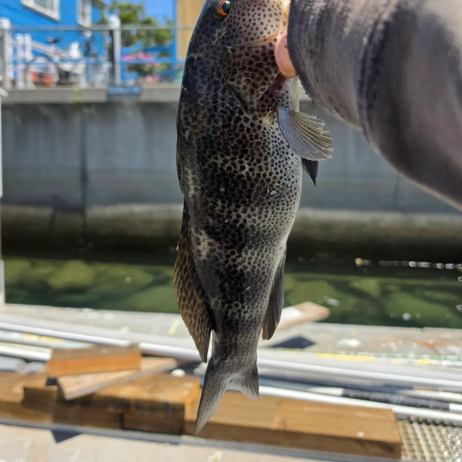 catch