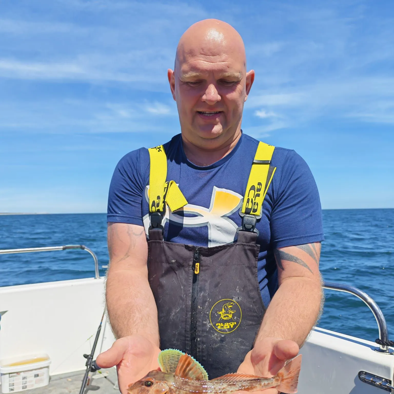 The most recent Tub gurnard catches on Fishbrain