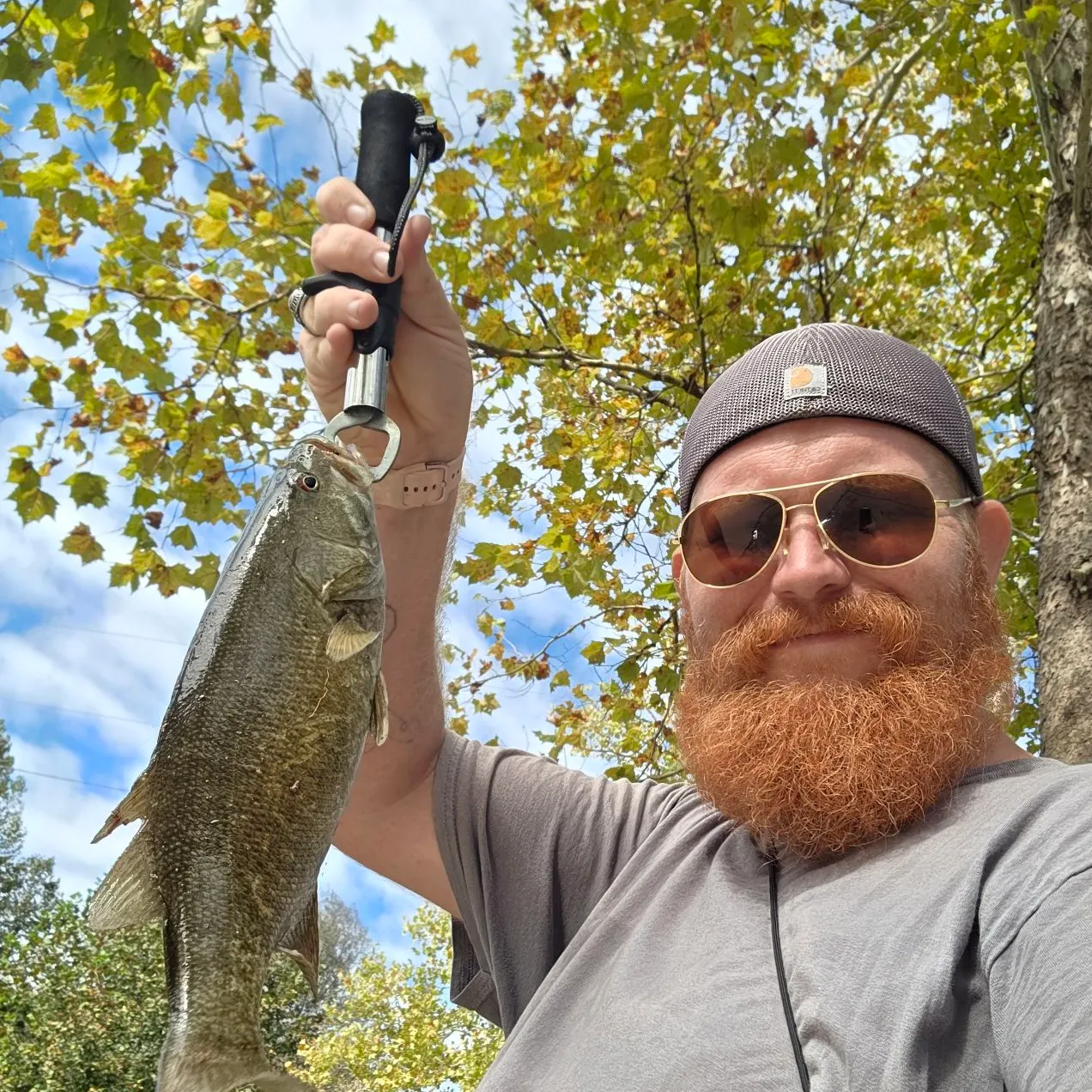 Smallmouth bass caught on Fishbrain