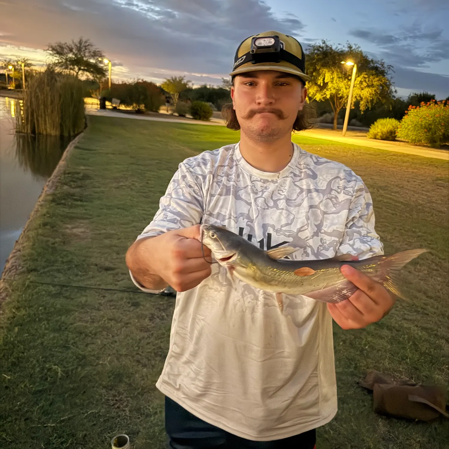 Channel catfish caught on Fishbrain