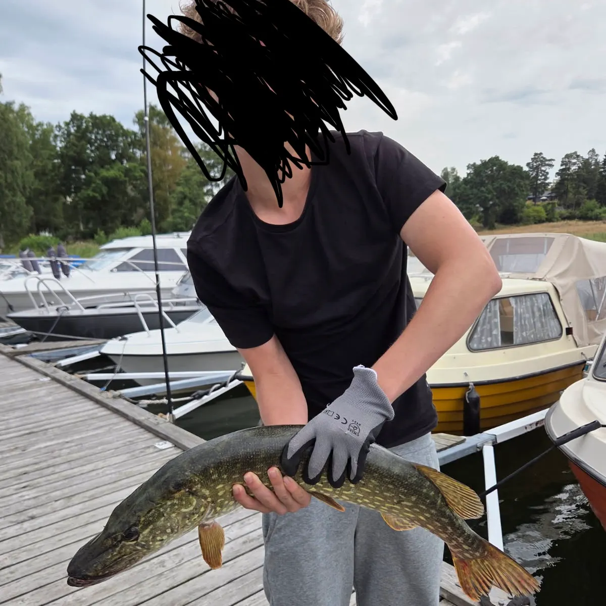 Northern pike caught on Fishbrain