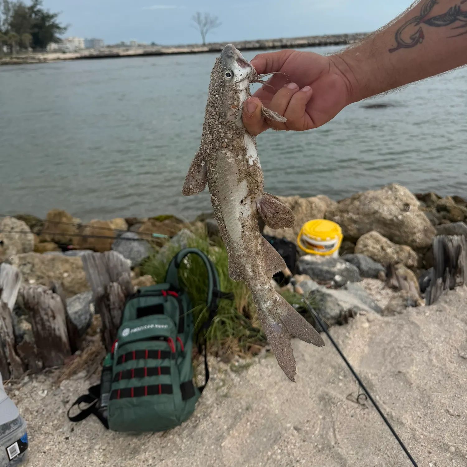 catch
