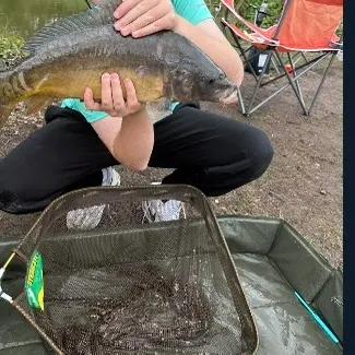 Leather carp caught on Fishbrain