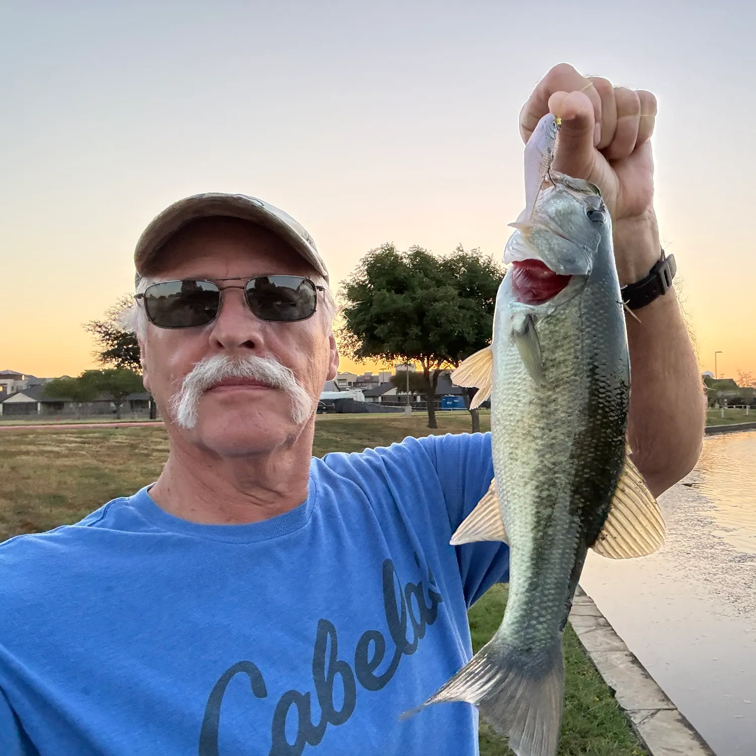 Largemouth bass caught on Fishbrain