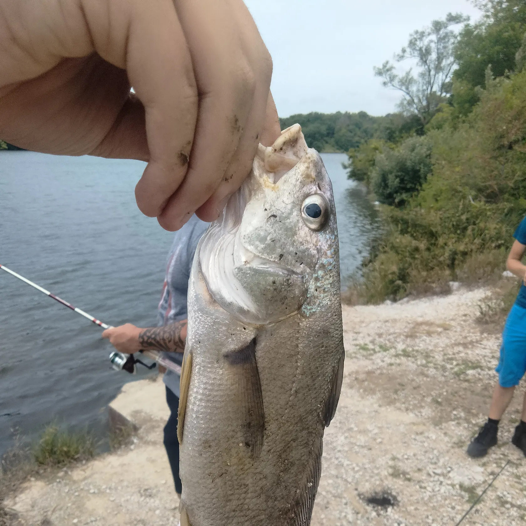 catch