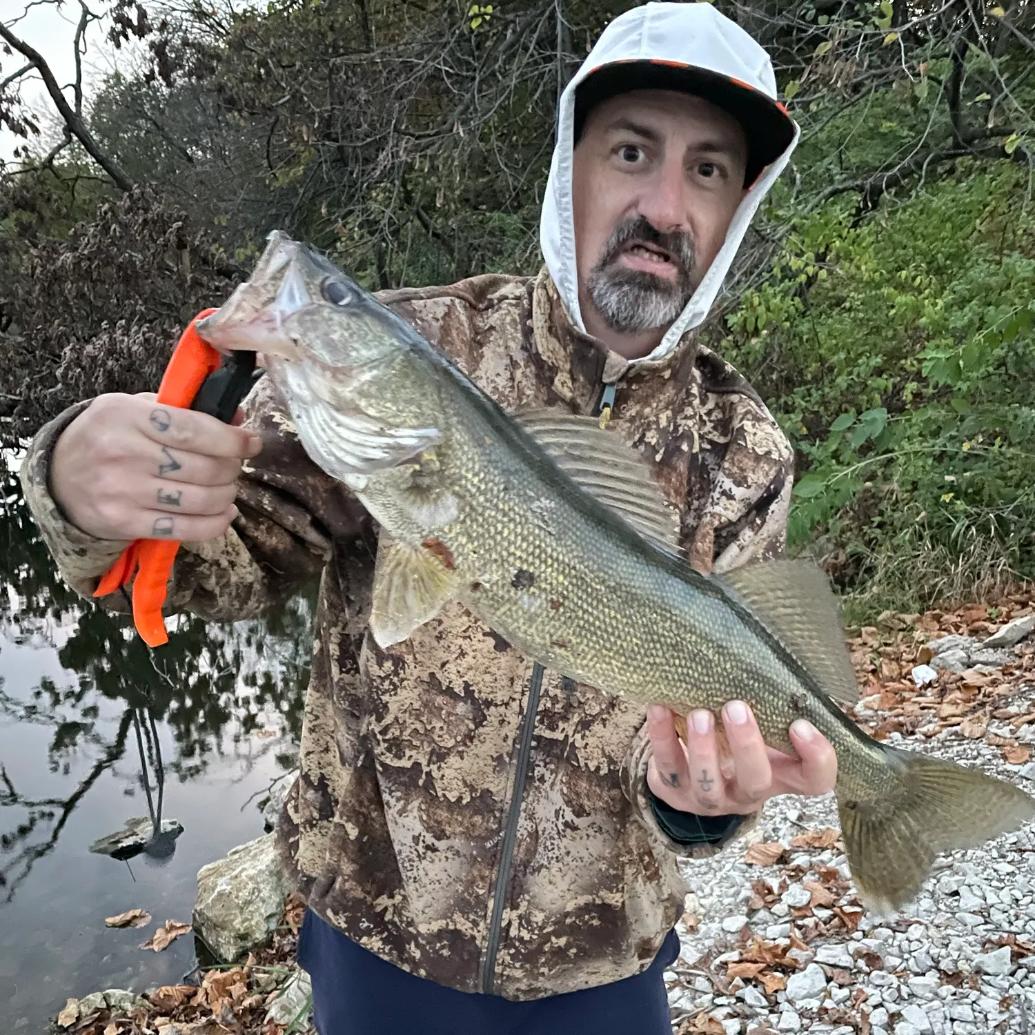 Walleye caught on Fishbrain