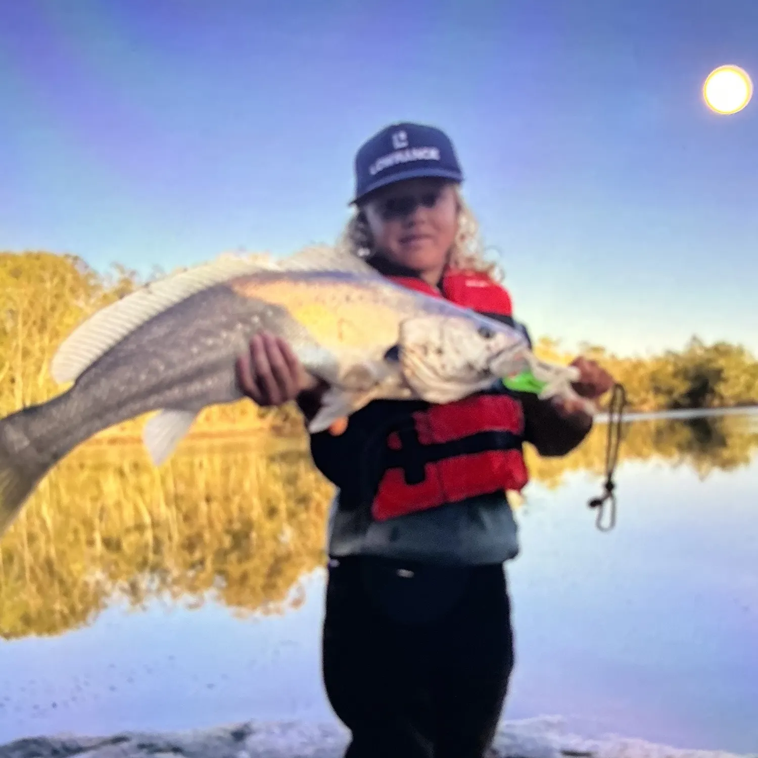 The most recent Japanese meagre catches on Fishbrain