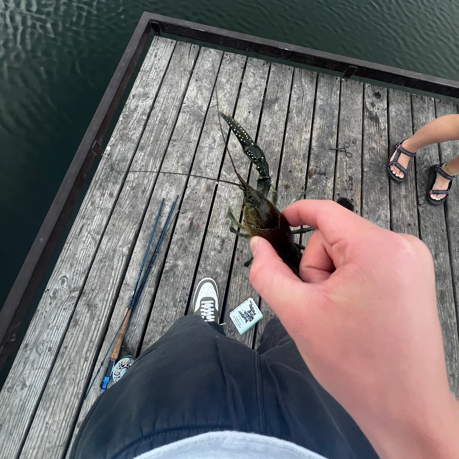 The most recent Rusty crayfish catches on Fishbrain