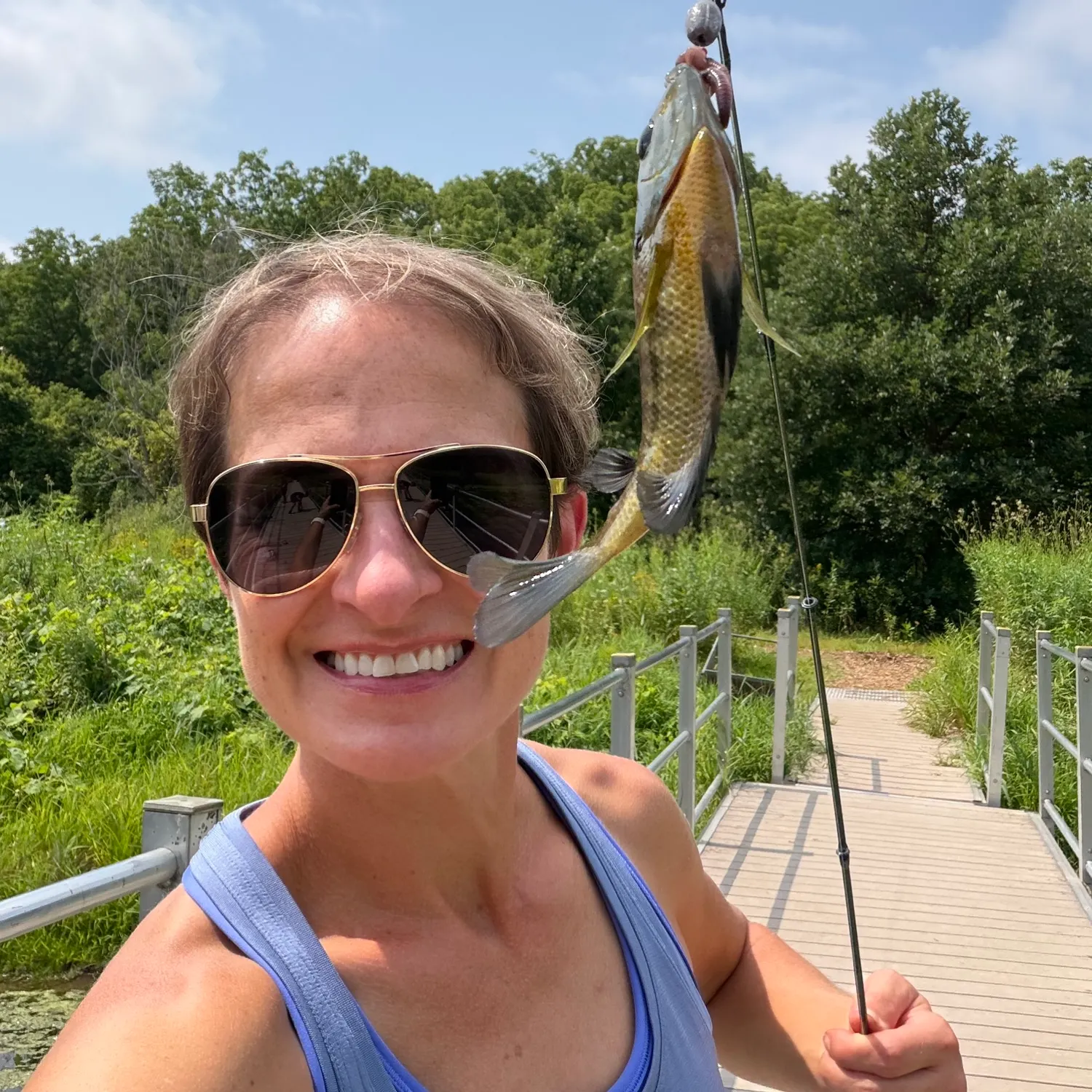 Bluegill caught on Fishbrain