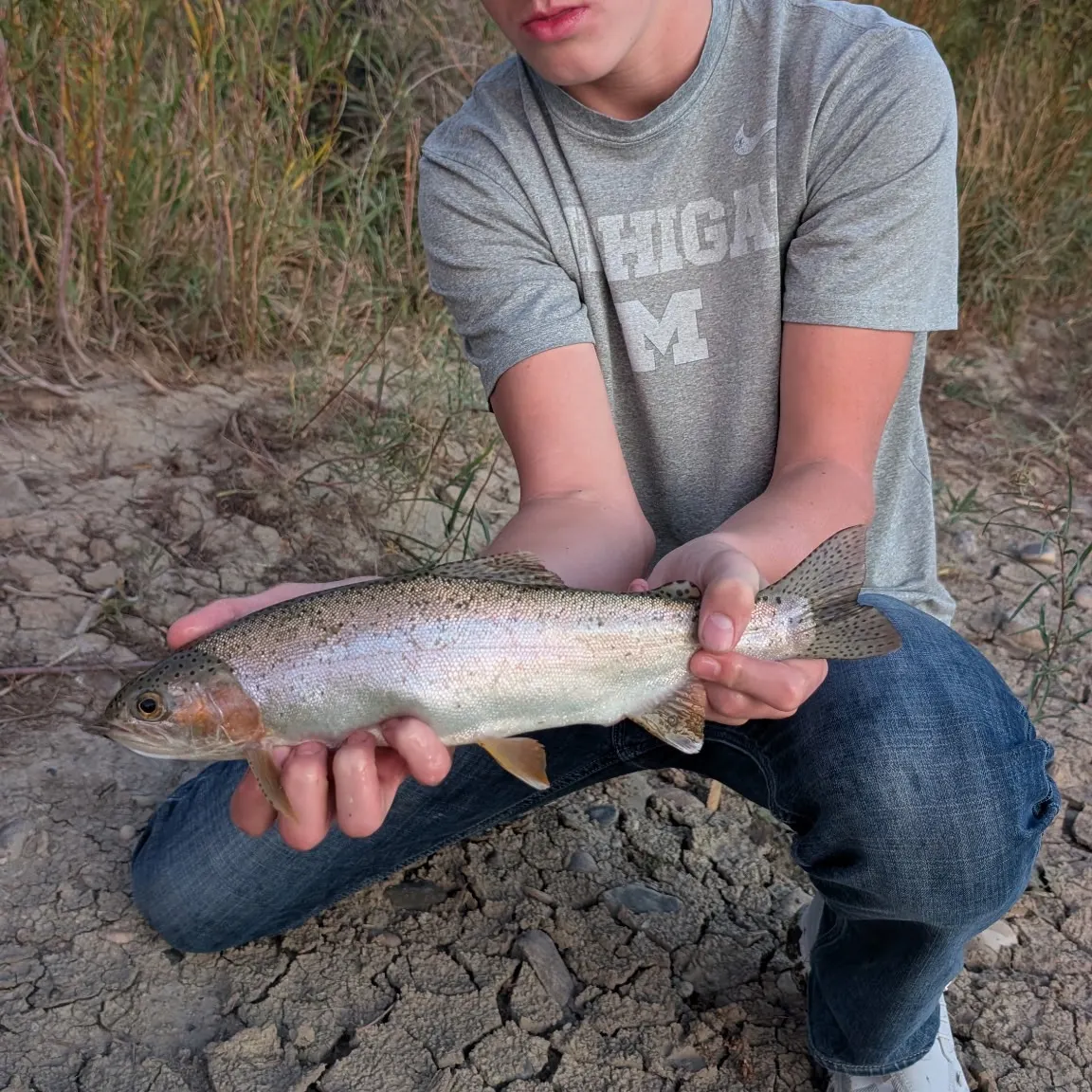 Rainbow trout caught on Fishbrain