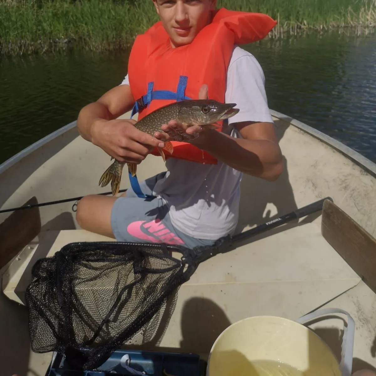Northern pike caught on Fishbrain