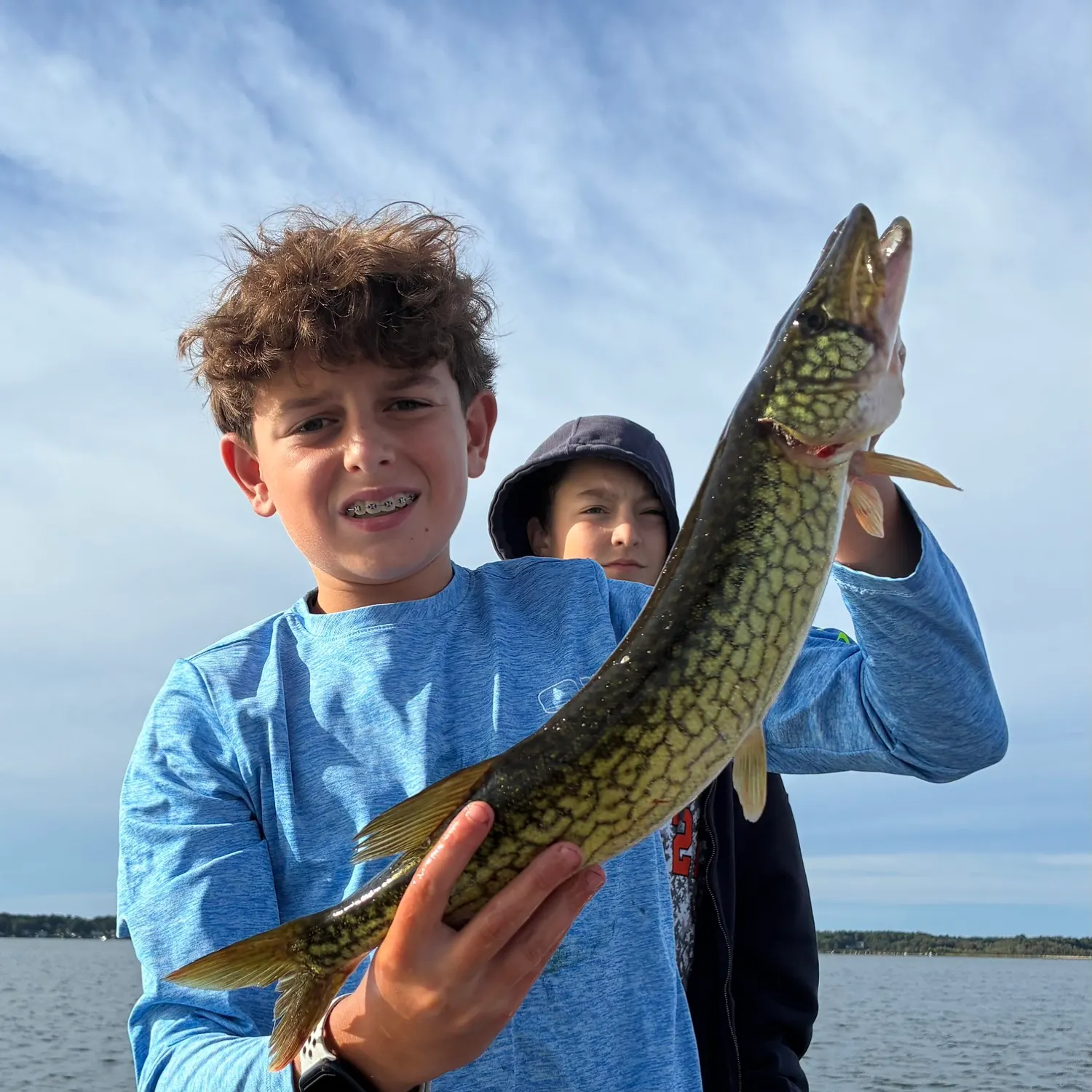 Chain pickerel caught on Fishbrain