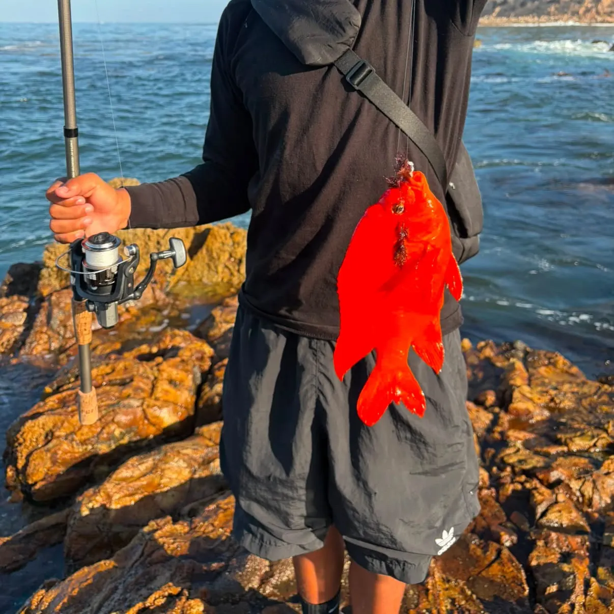 Garibaldi damselfish caught on Fishbrain