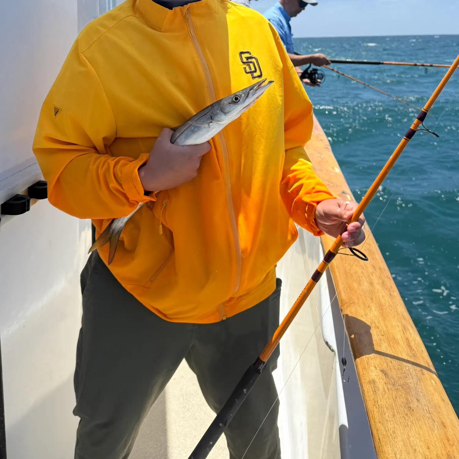 The most recent Pacific barracuda catches on Fishbrain