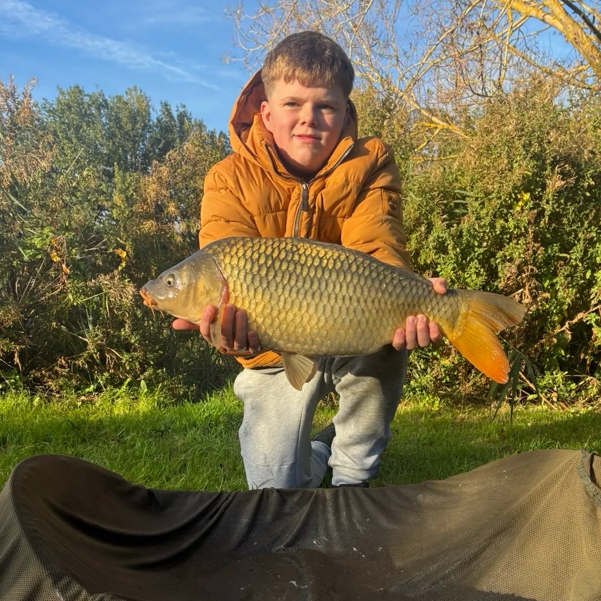 Common carp caught on Fishbrain