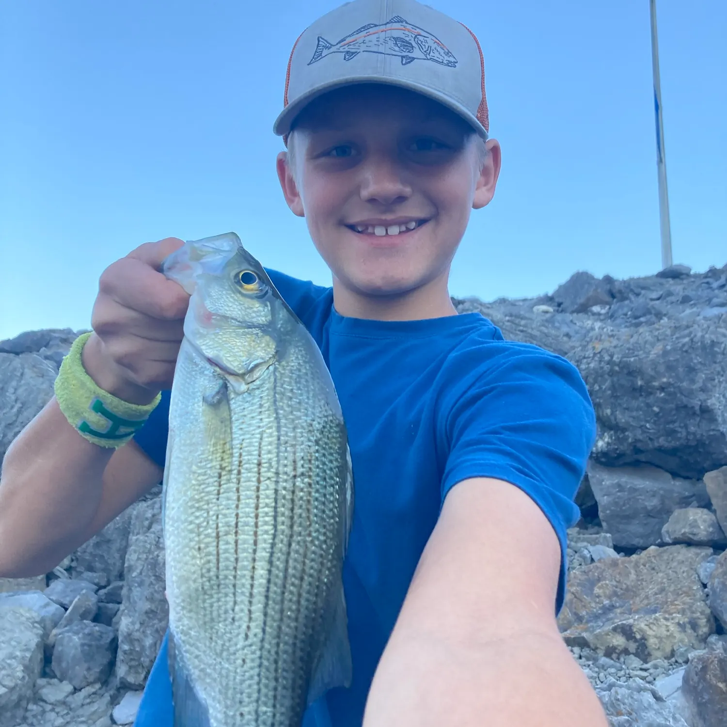 White bass caught on Fishbrain