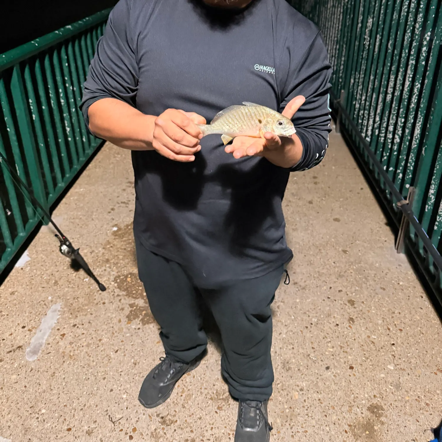 Red drum caught on Fishbrain