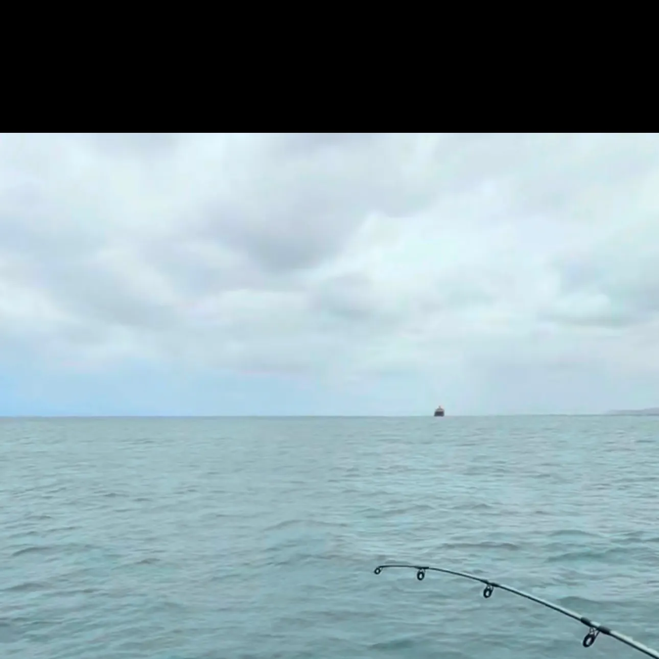 The most recent Manybar goatfish catches on Fishbrain