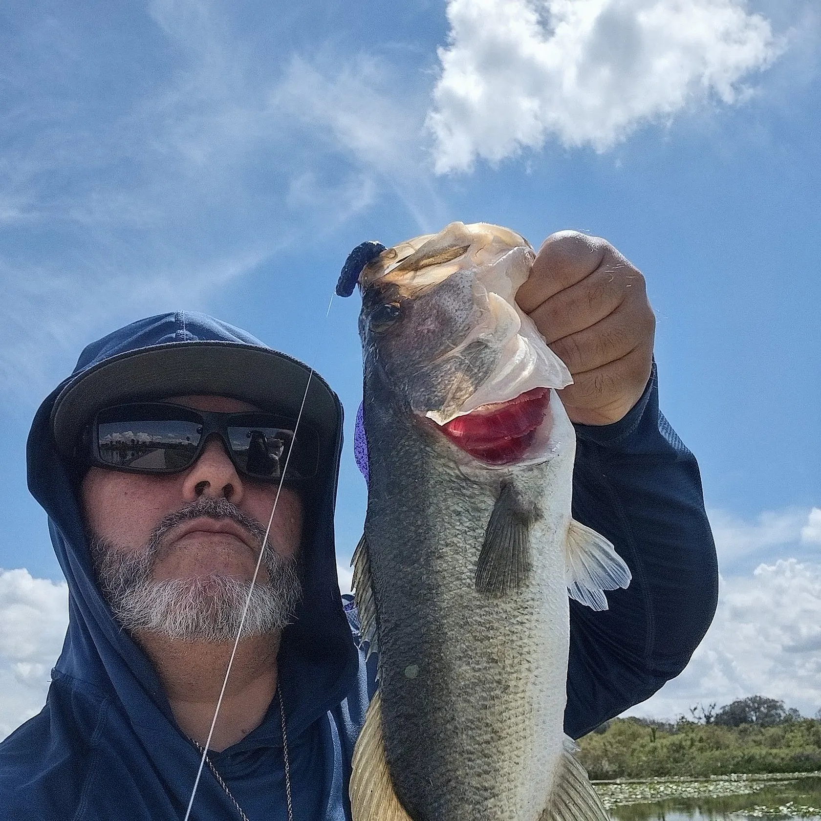 Largemouth bass caught on Fishbrain