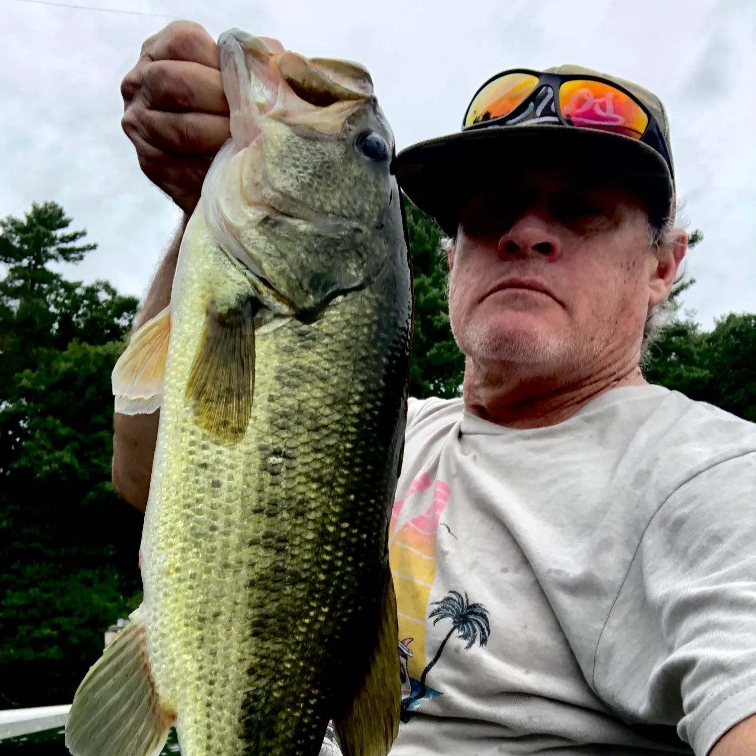Largemouth bass caught on Fishbrain