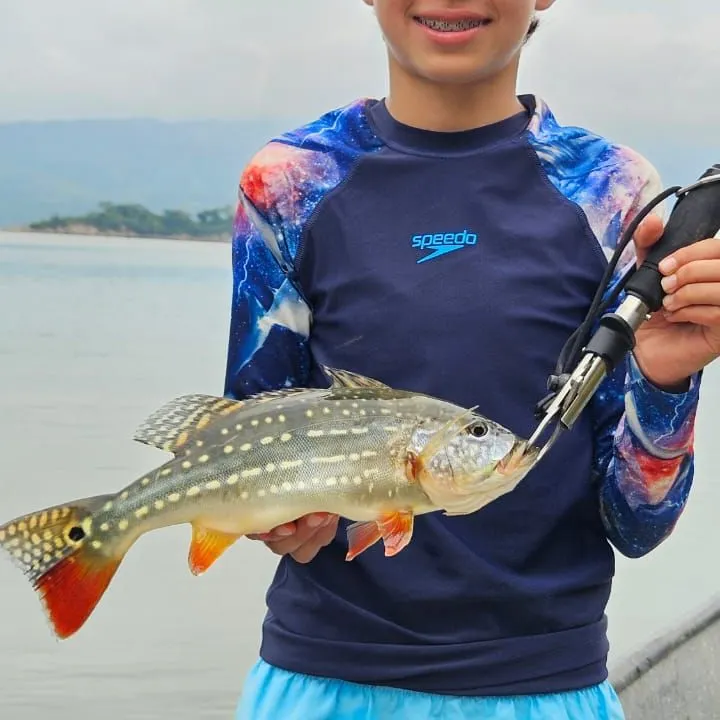 The most recent Speckled peacock bass catches on Fishbrain