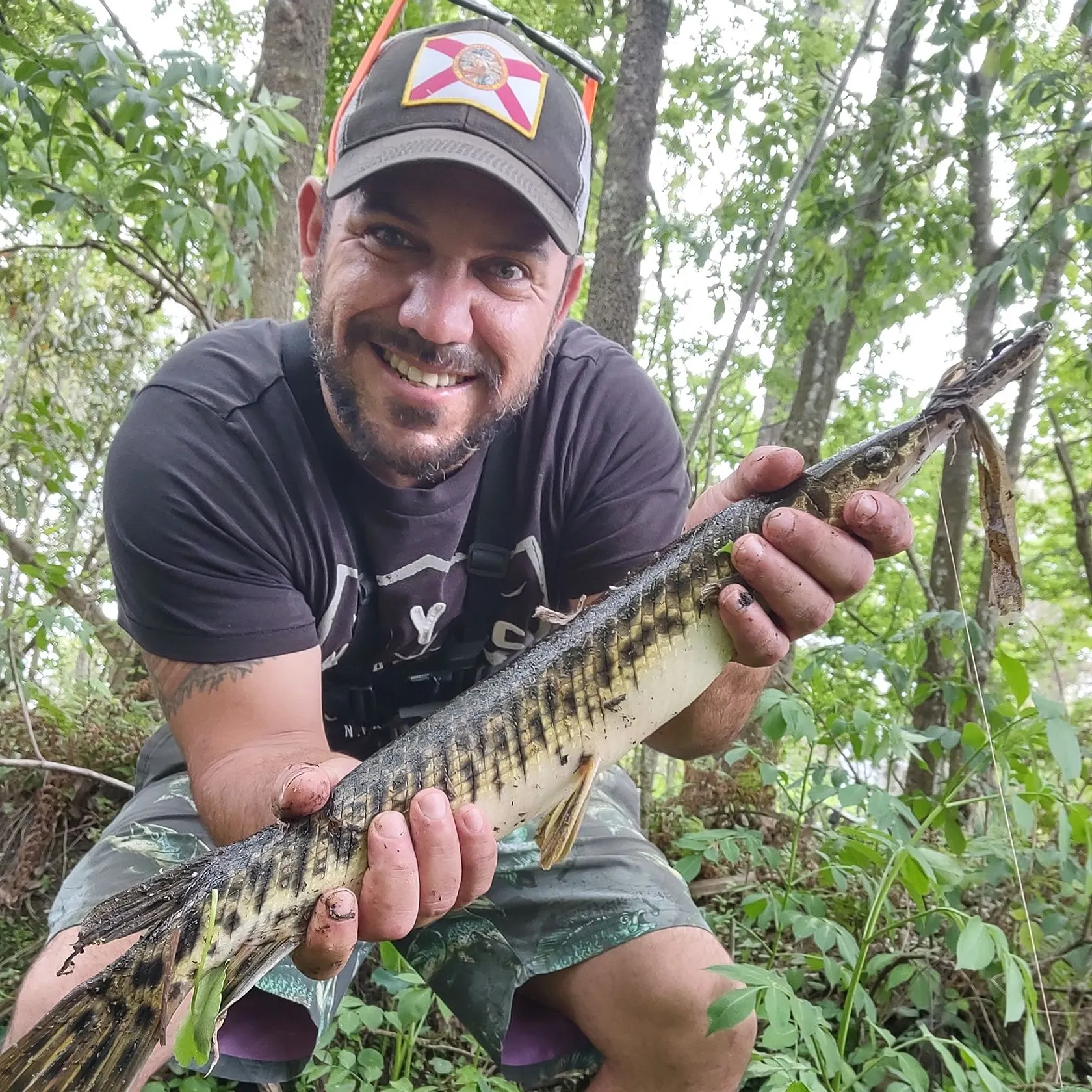 The most recent Florida gar catches on Fishbrain